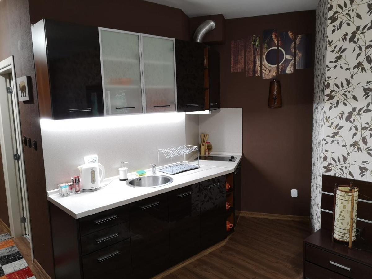 Studio 1 Iceberg Borovec Kültér fotó