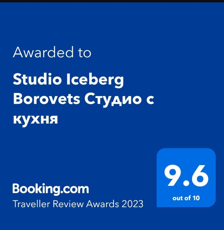 Studio 1 Iceberg Borovec Kültér fotó