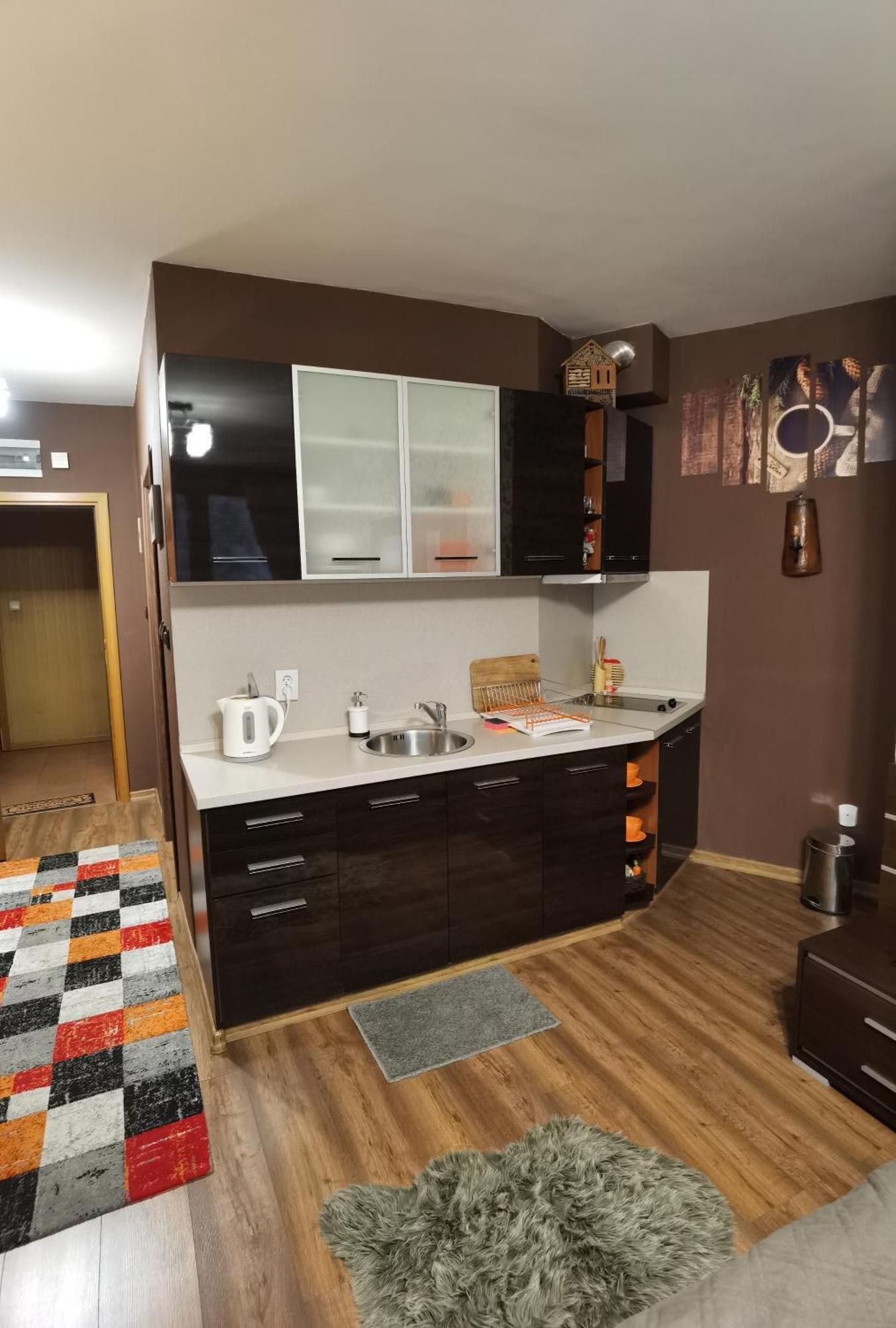 Studio 1 Iceberg Borovec Kültér fotó